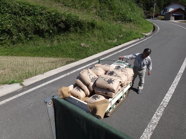 株式会社日食　農薬不使用のお米　２５年産　新米コシヒカリ　アイガモ農法　島根県飯石郡飯南町小田　三上忠　担ぎ上げ