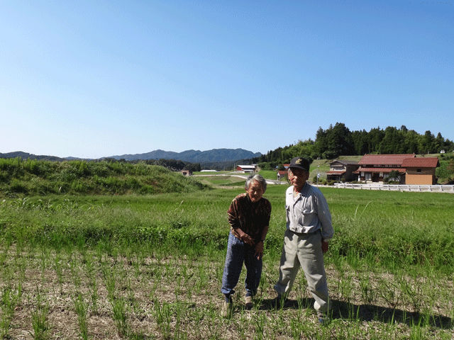 株式会社日食　農薬不使用のお米　２５年産　新米コシヒカリ　アイガモ農法　島根県飯石郡飯南町小田　三上忠さん　三上住子さん