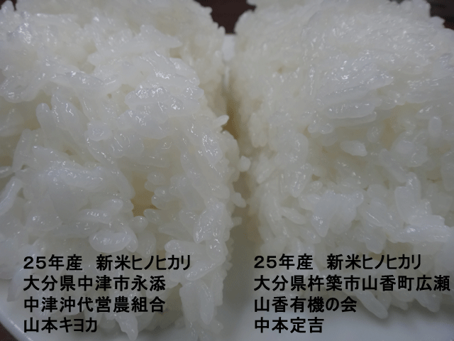 株式会社日食　今日のごはんの試食　産地特選米　２５年産　新米ヒノヒカリ