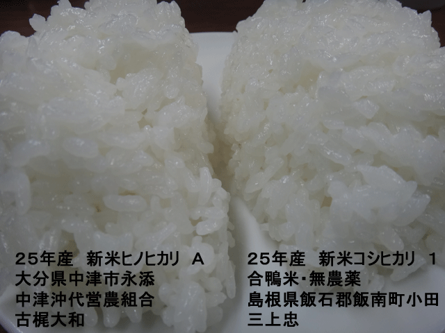 株式会社日食　今日のごはんの試食　産地特選米　２５年産　新米ヒノヒカリ　合鴨米　新米コシヒカリ