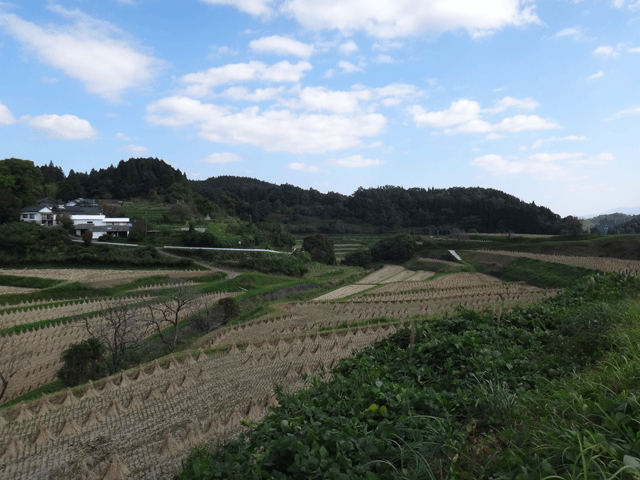 株式会社日食　大分県竹田市小川　竹田の棚田　わらこずみ