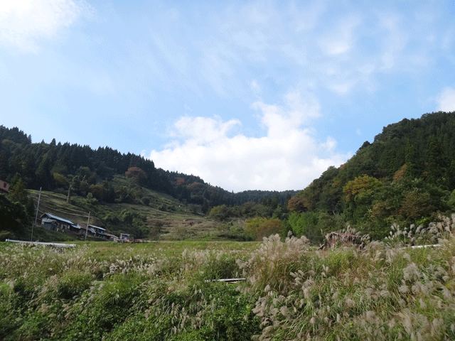 株式会社日食　【熊波の棚田】　兵庫県但馬　美方郡香美町村岡区熊波　棚田米コシヒカリ