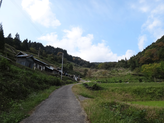 株式会社日食　【熊波の棚田】　兵庫県但馬　美方郡香美町村岡区熊波　棚田米コシヒカリ