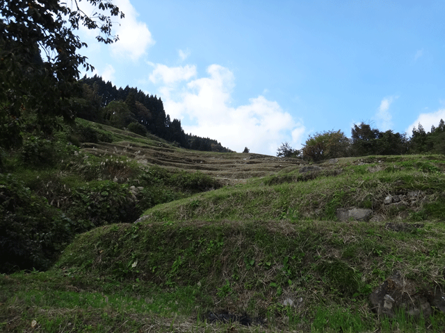 株式会社日食　【熊波の棚田】　兵庫県但馬　美方郡香美町村岡区熊波　棚田米コシヒカリ