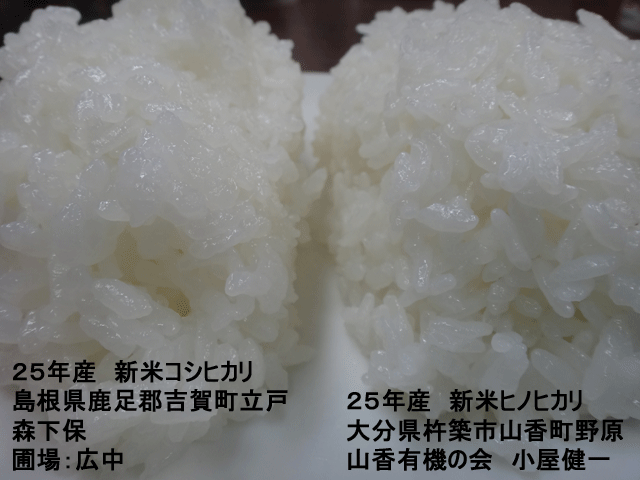 株式会社日食　今日のごはんの試食　産地特選米　２５年産　新米ヒノヒカリ　自信米ゴールド　新米コシヒカリ