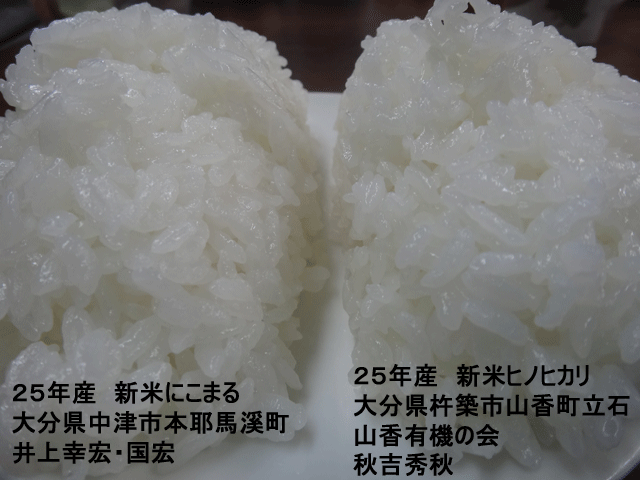 株式会社日食　今日のごはんの試食　産地特選米　２５年産　新米ヒノヒカリ　新米にこまる