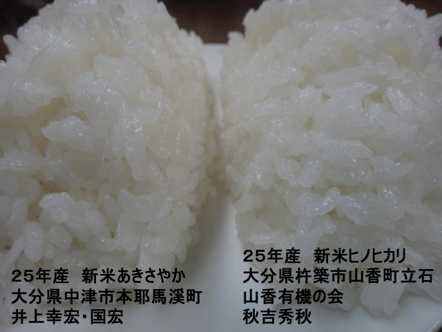 株式会社日食　今日のごはんの試食　産地特選米　２５年産　新米ヒノヒカリ　新米あきさやか