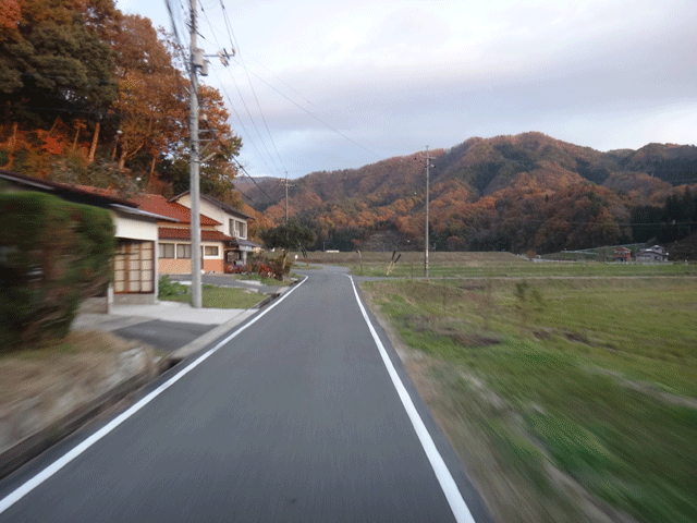 株式会社日食　島根県飯石郡飯南町　中国山地　紅葉