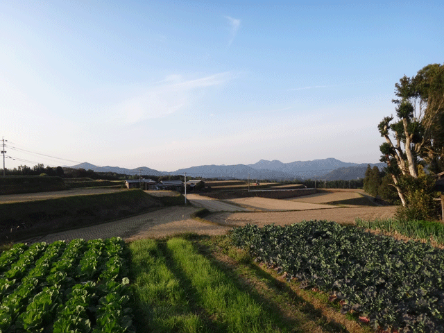 株式会社日食　大分県杵築市山香町野原　小屋健一さん　棚田