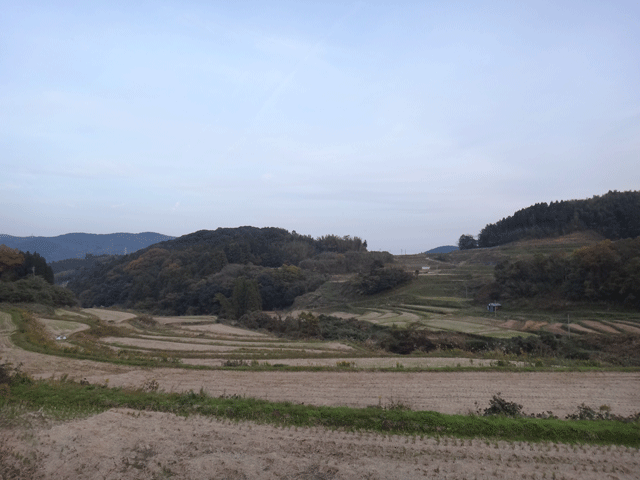 株式会社日食　大分県杵築市山香町野原　棚田