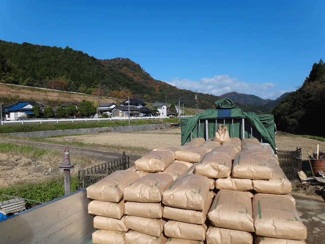 株式会社日食　生産農場ライスセンター　稲作屋　井上家　井上幸宏さん　大分県中津市本耶馬渓町西谷　積み込み