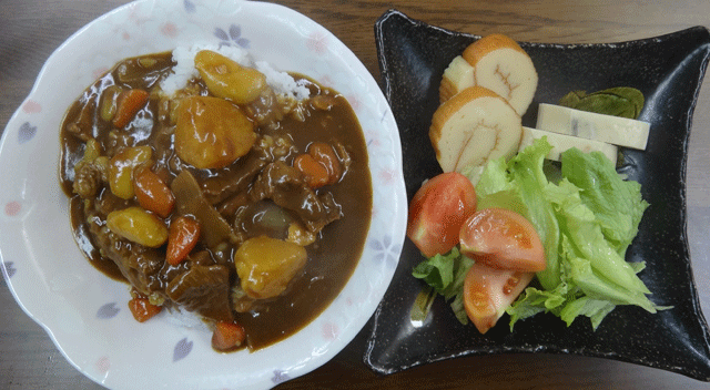 株式会社日食　今日のお昼ごはん　カレー　サラダ