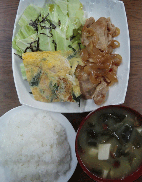 株式会社日食　今日のお昼ごはん　ごはん　味噌汁　オムレツ　豚の生姜焼き　キャベツの塩昆布サラダ