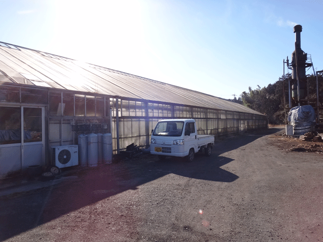 株式会社日食　佐藤バラ園　佐藤寿　大分県杵築市山香町大字野原