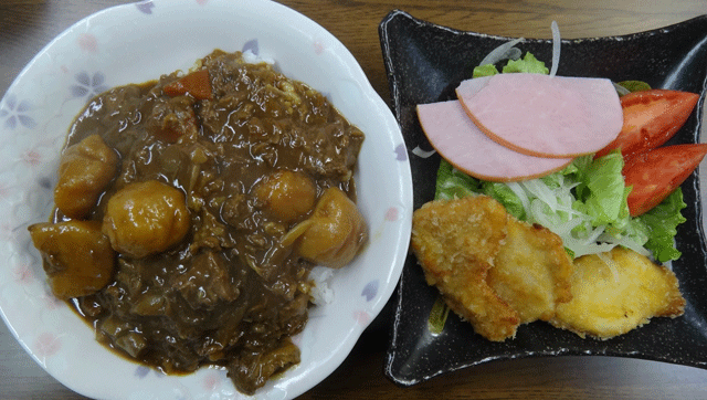 株式会社日食　今日のお昼ごはん　牛すじカレー　チキンカツ　サラダ