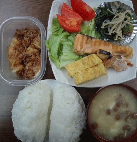 株式会社日食　今日のお昼ごはん　ごはん　味噌汁　鮭の塩焼き　玉子焼き　ほうれん草のおひたし　サラダ　自家製漬物　白菜