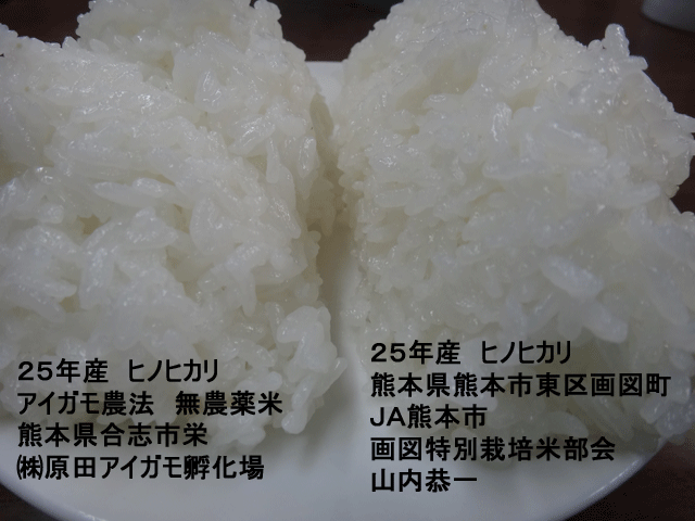 株式会社日食　今日のごはんの試食　産地特選米　ヒノヒカリ　無農薬アイガモ米ヒノヒカリ