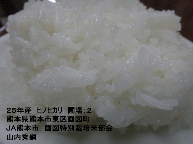 株式会社日食　今日のごはんの試食　産地特選米　２５年産　ヒノヒカリ　熊本県熊本市東区画図町　山内秀嗣