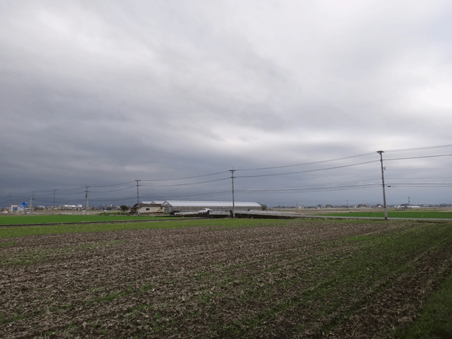 株式会社日食　熊本市東区画図町　産地特選米　２５年産　特別栽培米　ヒノヒカリ　ＪＡ熊本市　画図支店