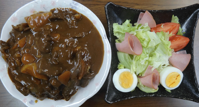 株式会社日食　今日のお昼ごはん　カレー　サラダ