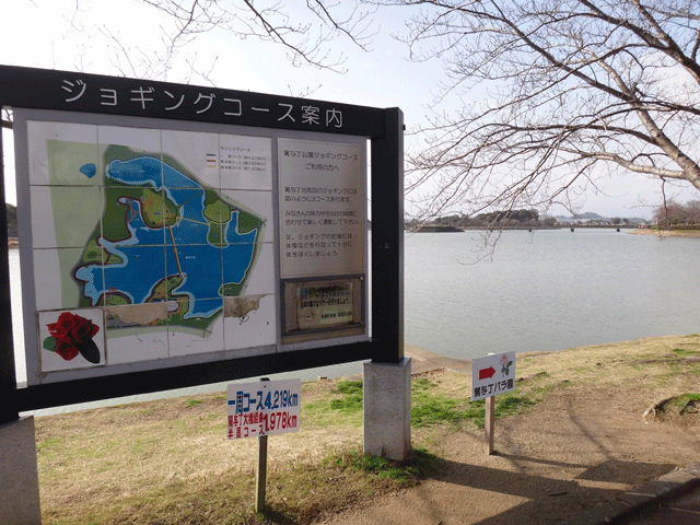 株式会社日食　お散歩　福岡県糟屋郡粕屋町　駕与丁公園（かよいちょうこうえん）