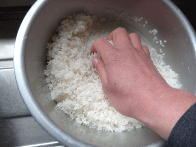 株式会社日食　炊飯試験　洗米