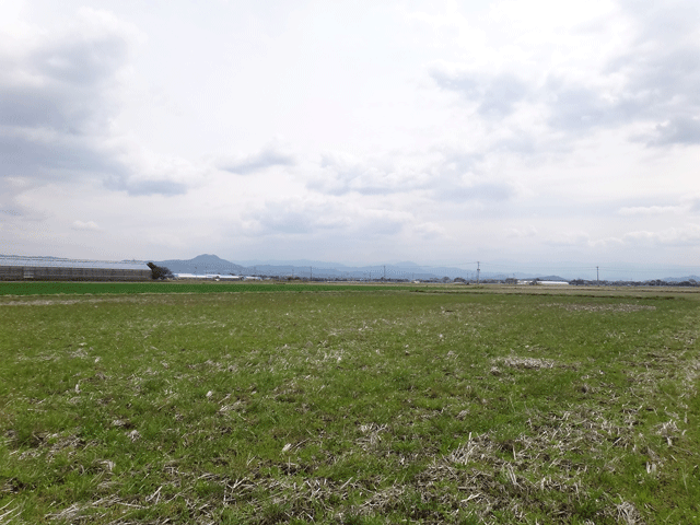 株式会社日食　熊本市東区画図町　産地特選米　２５年産　特別栽培米　ヒノヒカリ　ＪＡ熊本市　画図支店