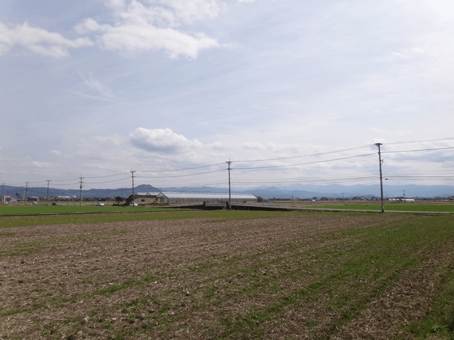 株式会社日食　熊本市東区画図町　産地特選米　２５年産　特別栽培米　ヒノヒカリ　ＪＡ熊本市　画図支店　田んぼ