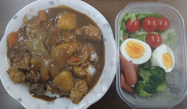 株式会社日食　今日のお昼ごはん　カレー　サラダ