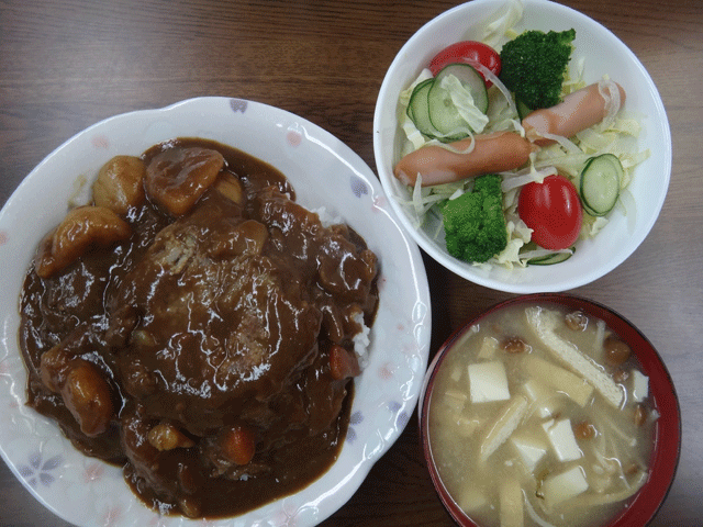 株式会社日食　今日のお昼ごはん　ハンバーグカレー　味噌汁　サラダ