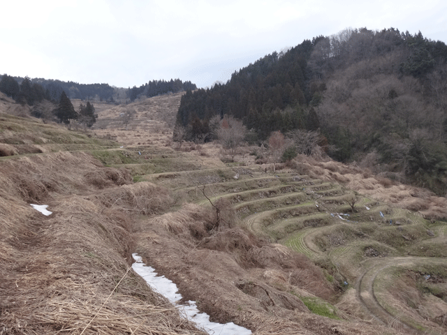 株式会社日食　熊波の棚田　兵庫県但馬　美方郡香美町村岡区熊波　棚田米コシヒカリ