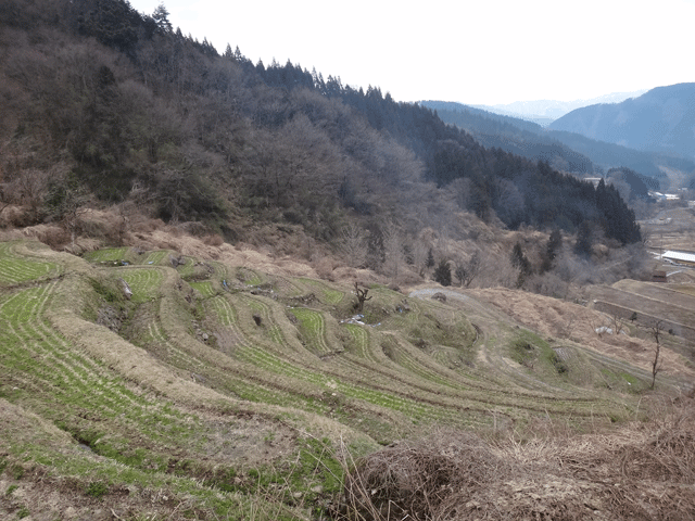 株式会社日食　熊波の棚田　兵庫県但馬　美方郡香美町村岡区熊波　棚田米コシヒカリ