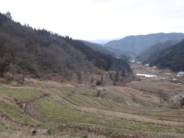 株式会社日食　熊波の棚田　兵庫県但馬　美方郡香美町村岡区熊波　棚田米コシヒカリ