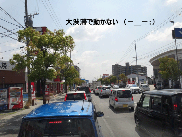 株式会社日食　国道２６６号線　浜線バイパス　熊本県熊本市南区　大渋滞