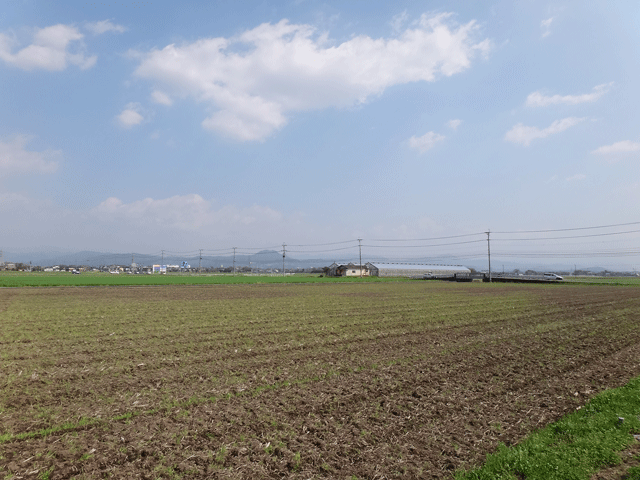 株式会社日食　熊本市東区画図町　産地特選米　２５年産　特別栽培米　ヒノヒカリ　ＪＡ熊本市　画図支店　田んぼ