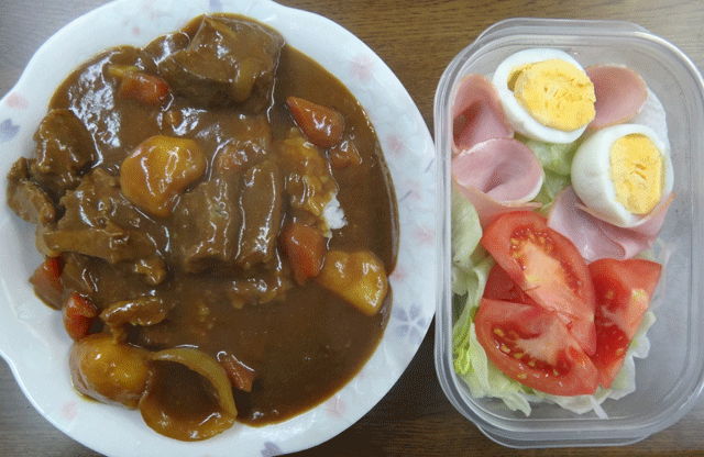 株式会社日食　今日のお昼ごはん　カレー　サラダ