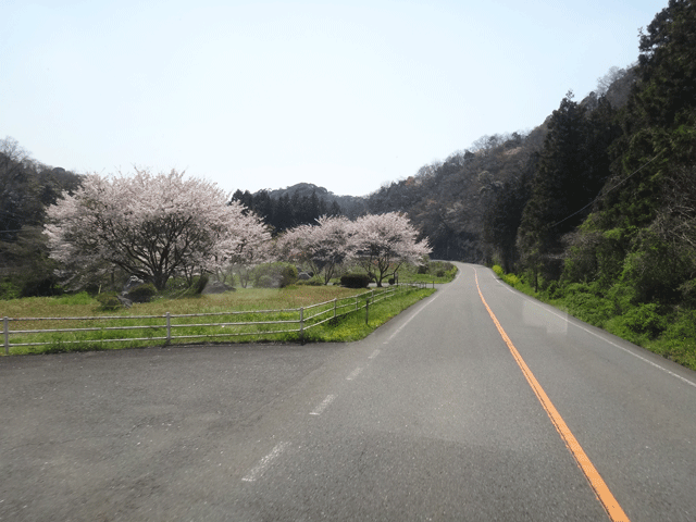 株式会社日食　県道３３号線　山口県美祢市