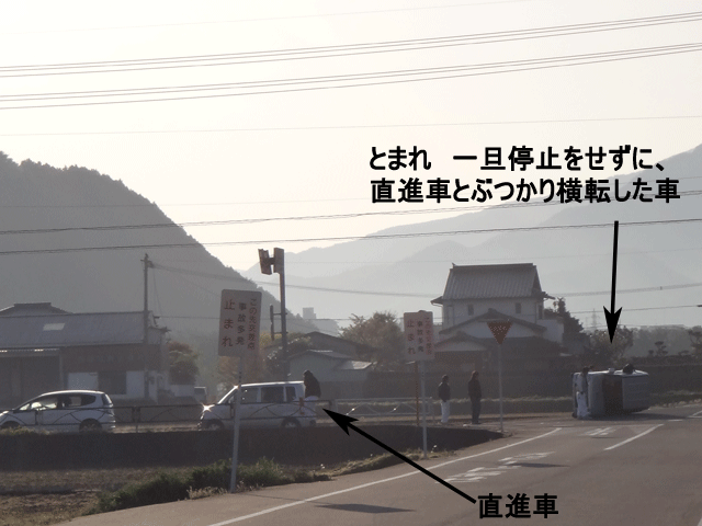 株式会社日食　愛犬ナナ　ゴールデン　ラブラドール　レトリバー　お散歩　事故