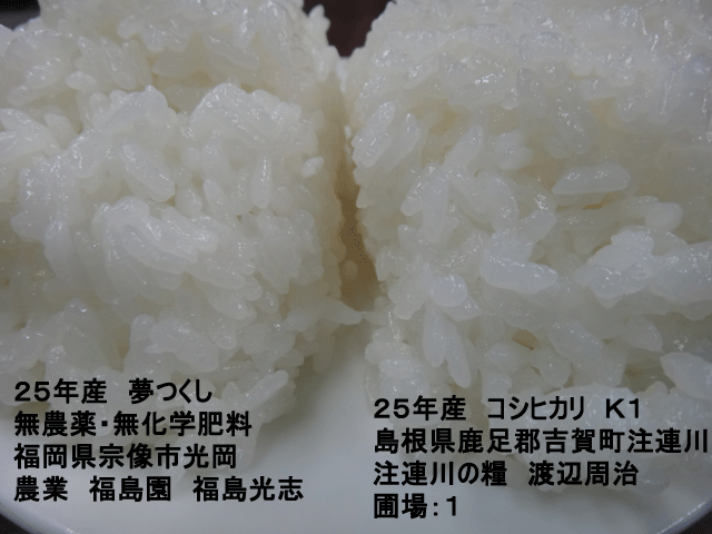 株式会社日食　今日のごはんの試食　２５年産　夢つくし　コシヒカリ