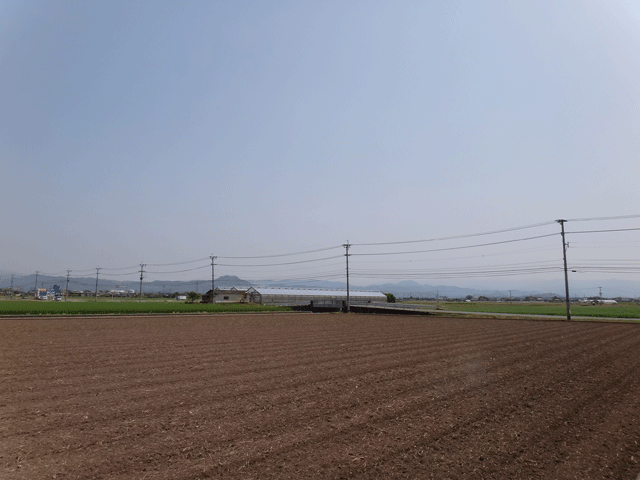 株式会社日食　熊本市東区画図町　産地特選米　２５年産　特別栽培米　ヒノヒカリ　ＪＡ熊本市　画図支店　田んぼ