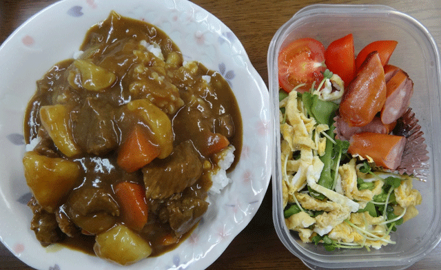 株式会社日食　今日のお昼ごはん　カレー　サラダ