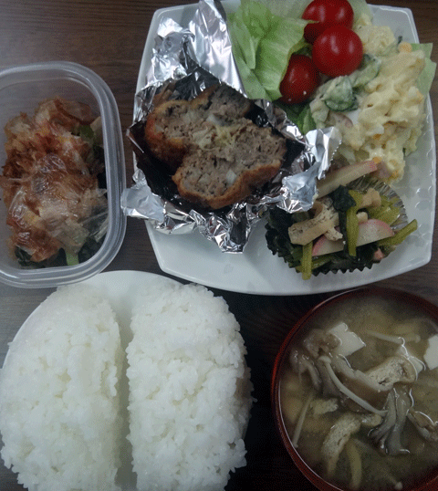 株式会社日食　今日のお昼ごはん　ごはん　味噌汁　メンチカツ　小松菜の煮びたし　ポテトサラダ　レタス　ミニトマト