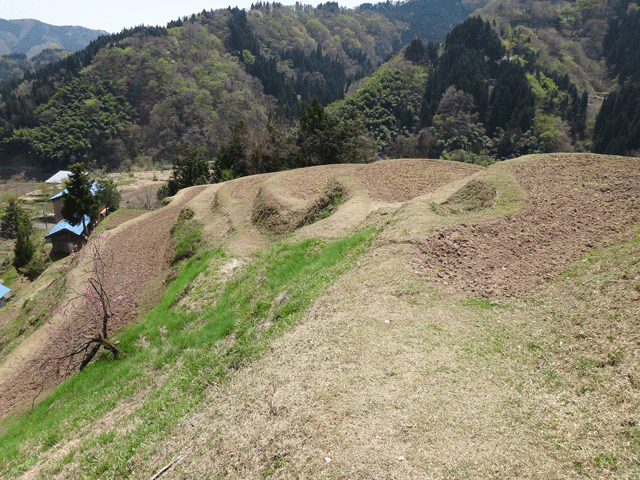 株式会社日食　熊波の棚田　兵庫県但馬　美方郡香美町村岡区熊波　棚田米コシヒカリ