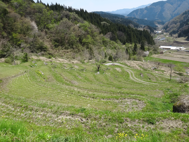 株式会社日食 熊波の棚田 兵庫県但馬 美方郡香美町村岡区熊波 棚田米コシヒカリ