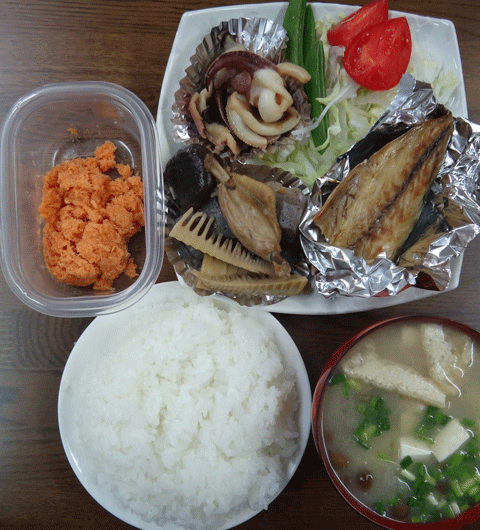 株式会社日食　今日のお昼ごはん　ごはん　味噌汁　塩鯖　新筍の煮物　イカの煮物　サラダ　キャベツ　トマト　スナップエンドウ　味市春香なごみ名物　鮭明太