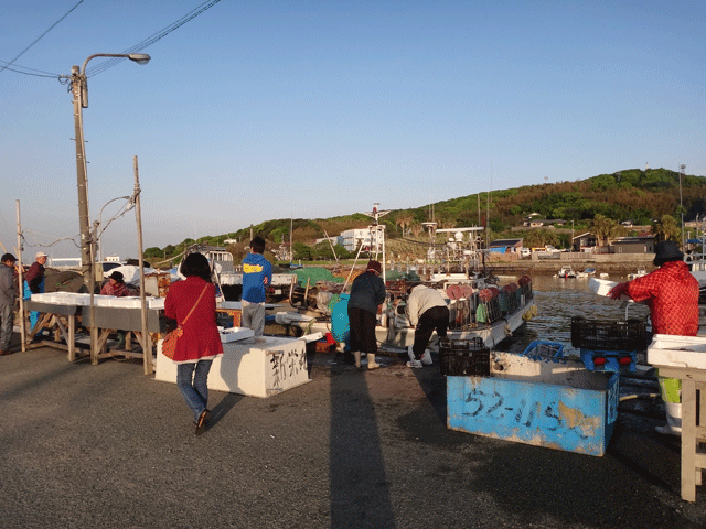 株式会社日食　津屋崎漁港朝市　福岡県っ福津市津屋崎