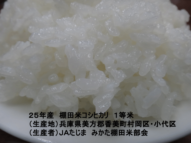 株式会社日食　今日のごはんの試食　但馬　棚田米　兵庫県美方郡香美町村岡区　小代区　棚田米コシヒカリ　２５年産　１等米　ＪＡたじま　みかた棚田米部会