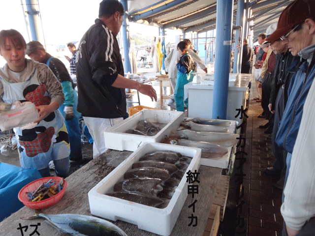 株式会社日食　津屋崎漁港朝市　福岡県福津市津屋崎