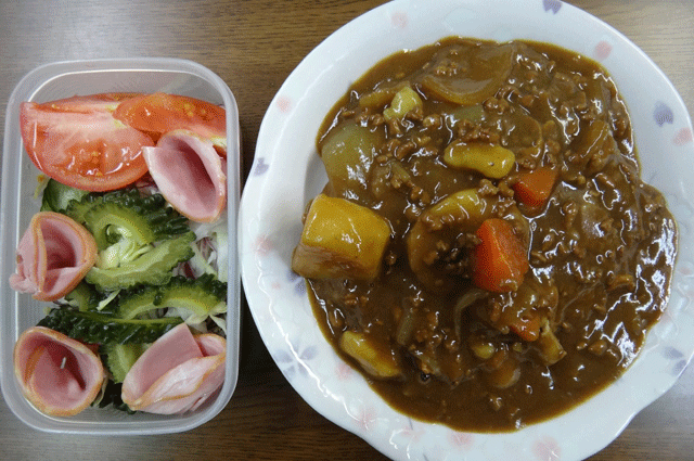 株式会社日食　今日のお昼ごはん　カレー　サラダ