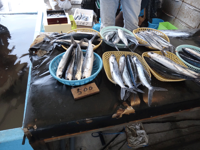 株式会社日食　津屋崎漁港朝市　福岡県福津市津屋崎　とびうお